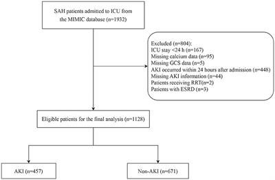 Association between serum calcium level and the risk of acute kidney injury in ICU patients with subarachnoid hemorrhage: a retrospective cohort study